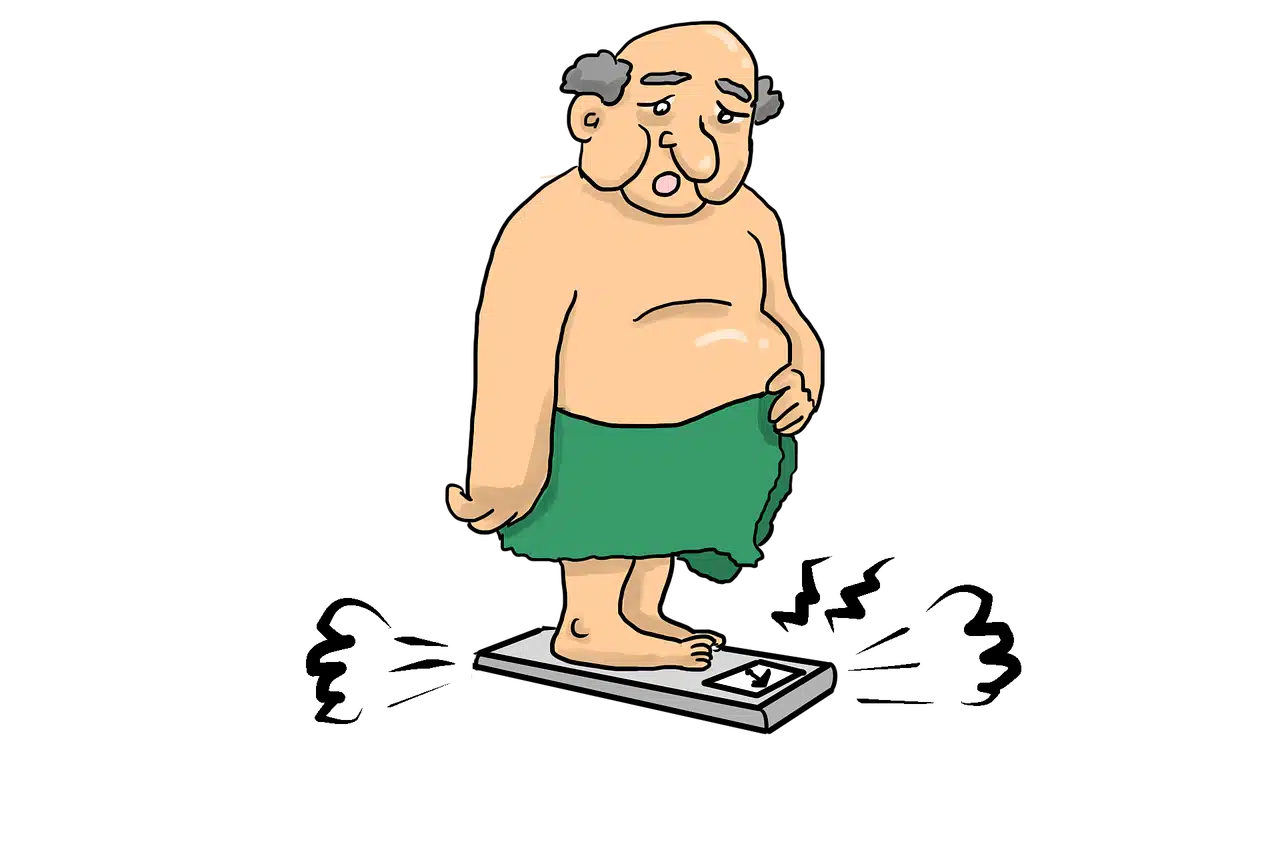 fat 3313923 1280