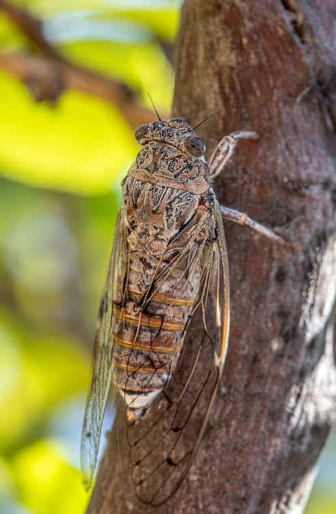 free photo of madera naturaleza piernas patas
