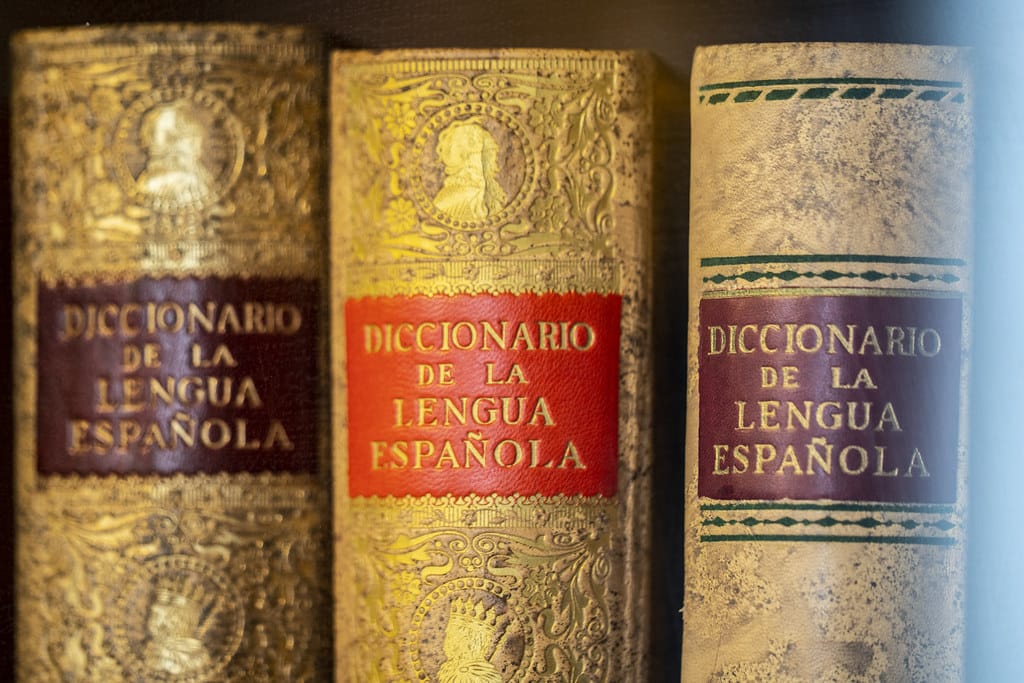 diccionario