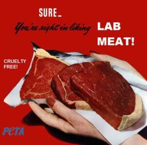 carne vitro