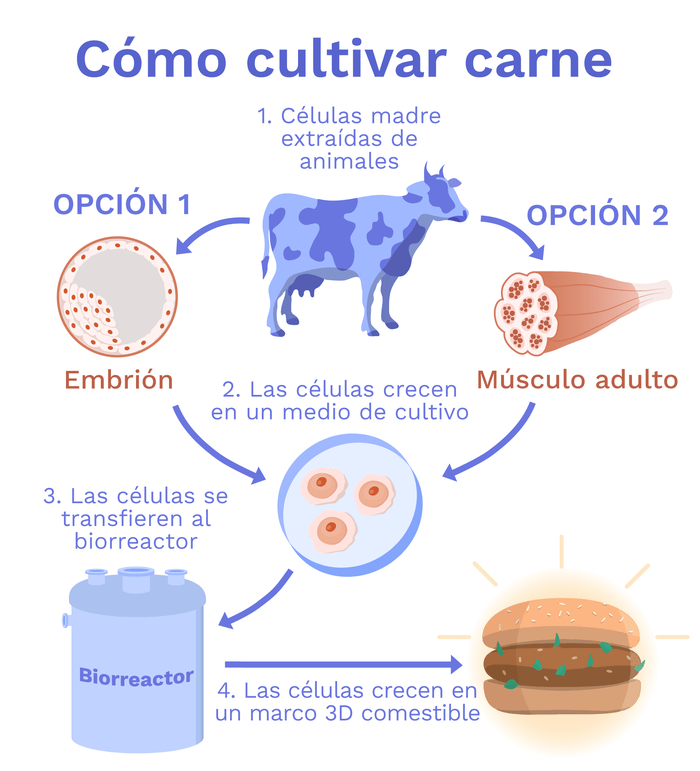 esquema