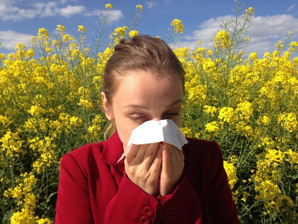 allergy 1738191 1280
