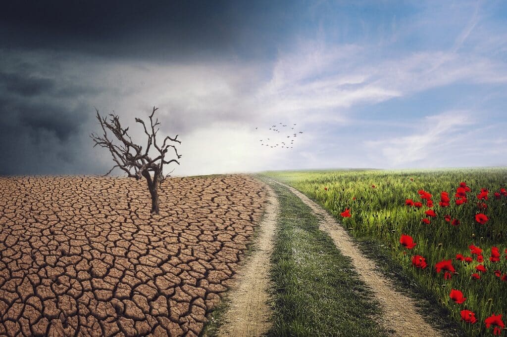 pxclimateaction 4684217 1280