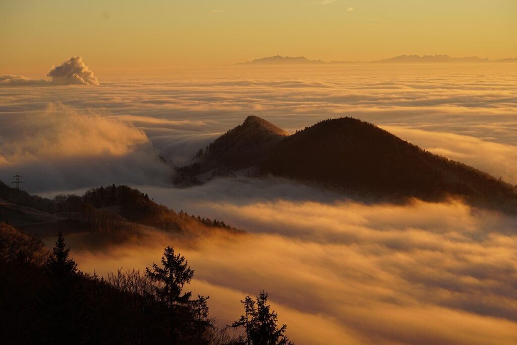 nature, fog, outdoors