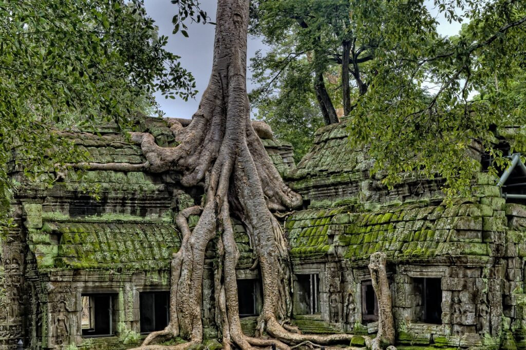 Angkor