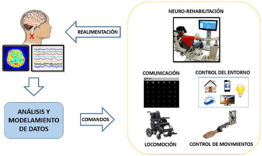 Componentes de una Interfaz Cerebro Computador