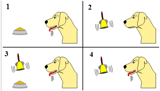 Perro de Pavlov