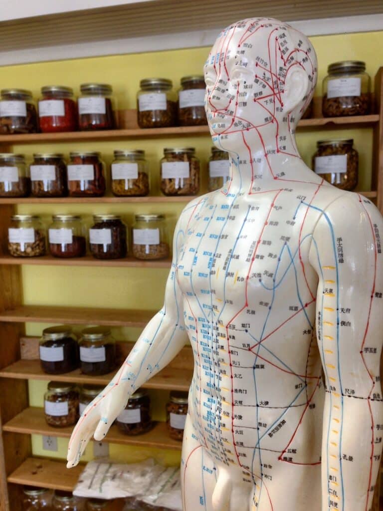 acupuncture 2308489 1280