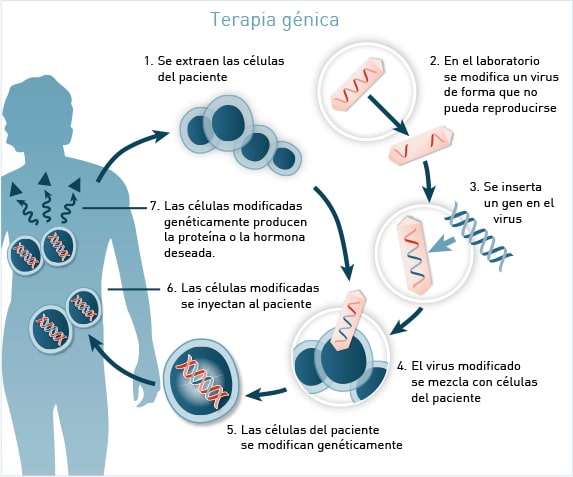 genetica