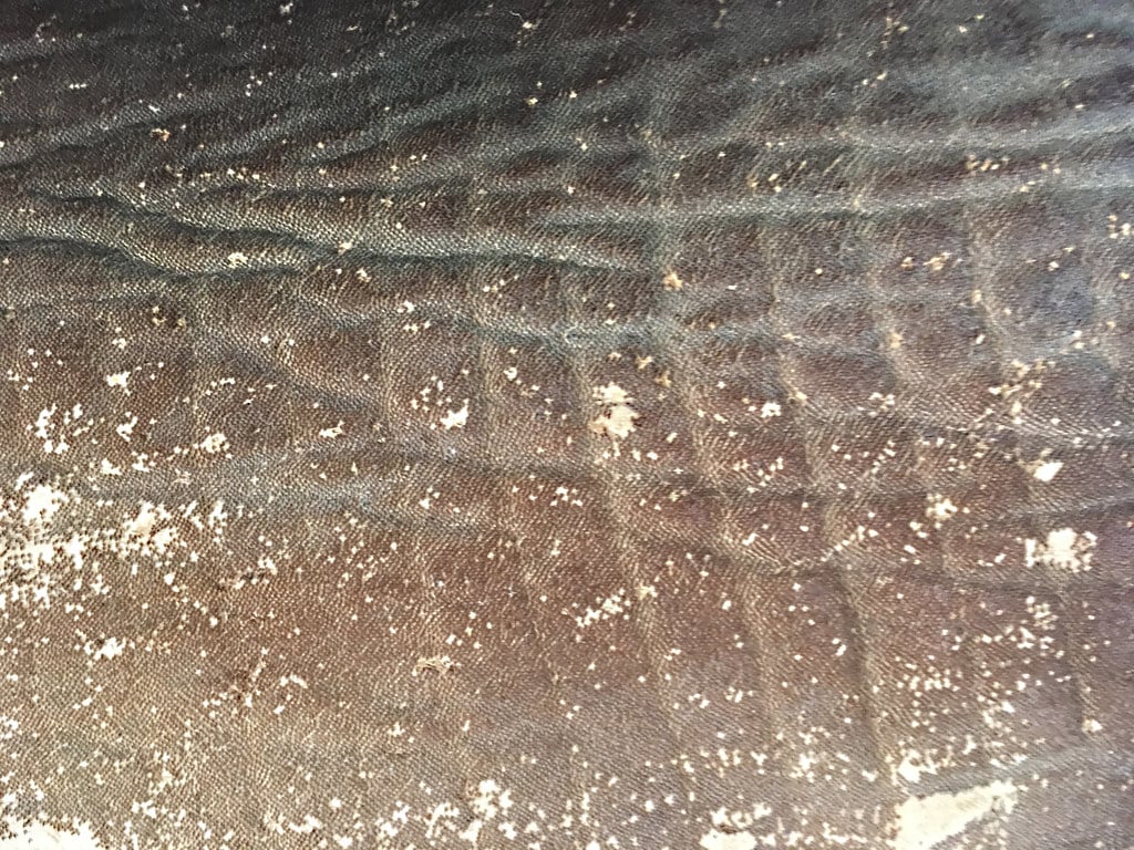 shark skin