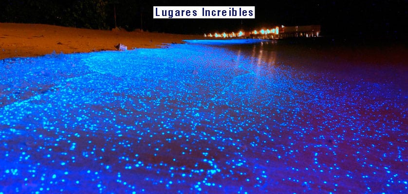 Lugares increibles MAR DE ESTRELLAS
