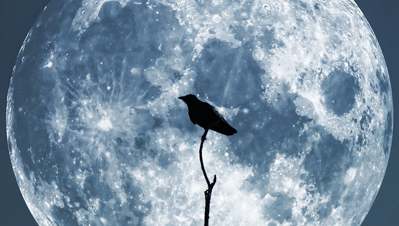 moon 61888 1280