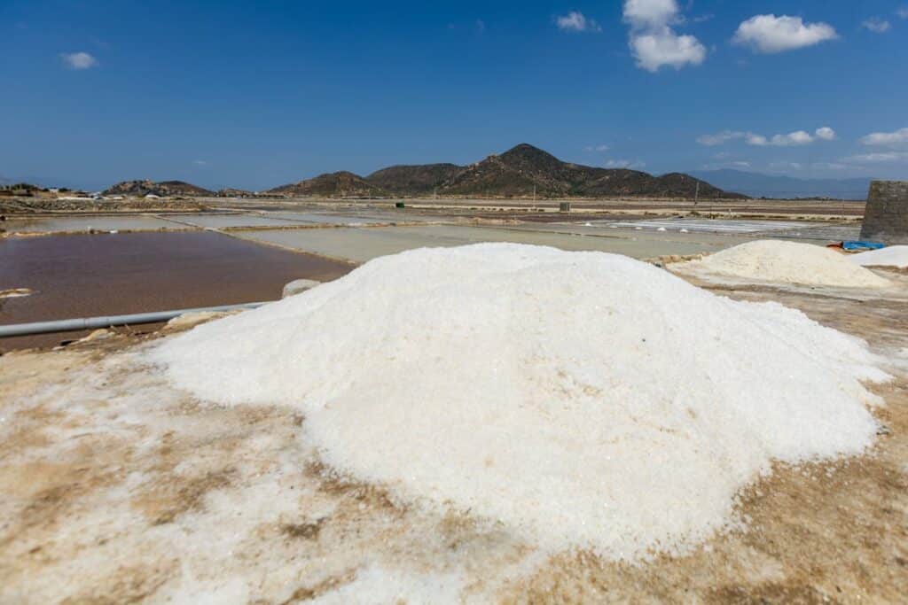salinas