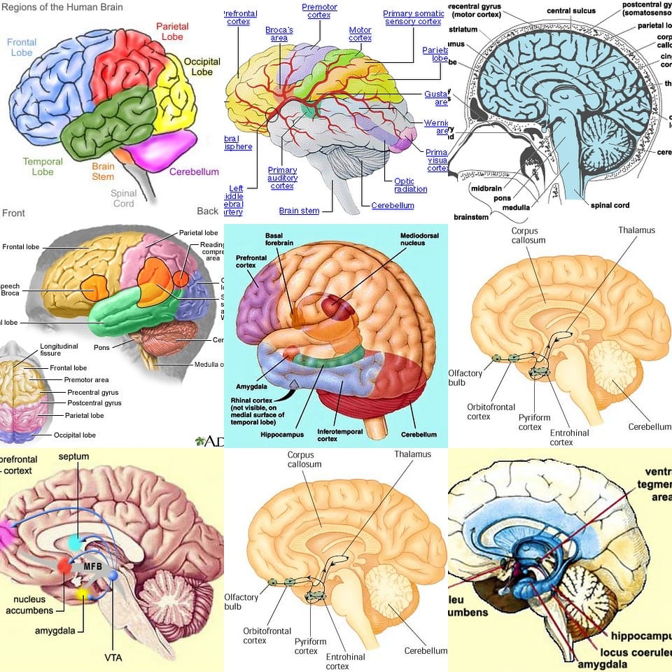 2529475205 5367e32d2c b