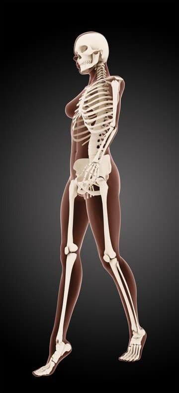 render 3d esqueleto medico femenino caminando 1048 13789