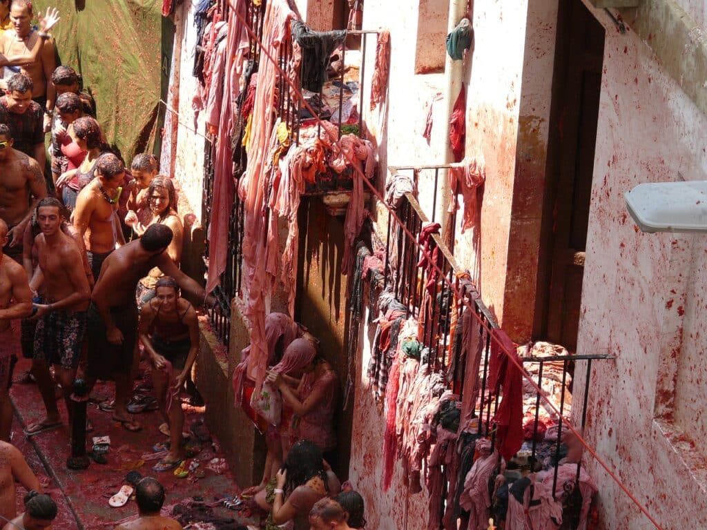 tomatina 775455 1280