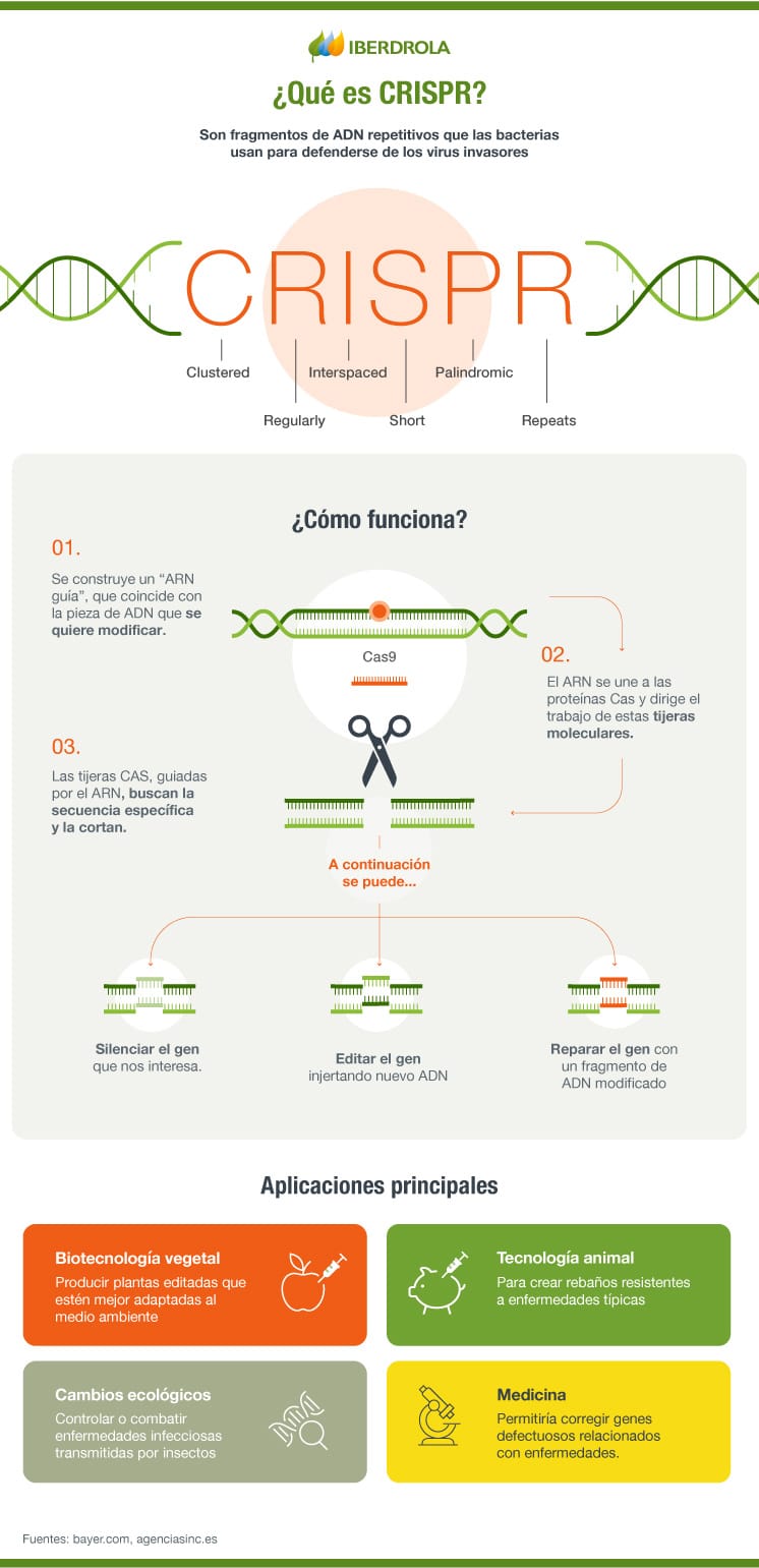 CRISPR ES