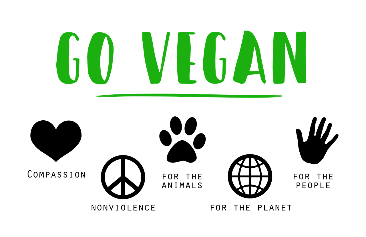 vegan 1343429 1280