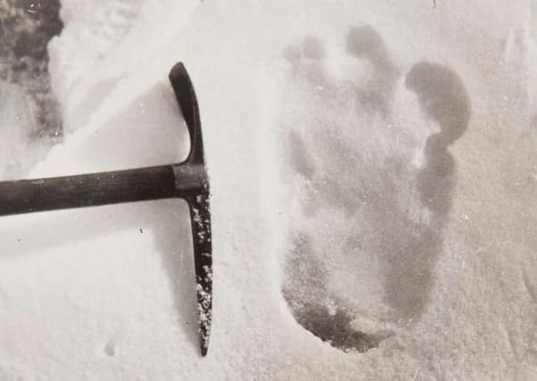 yeti footprint01951 1