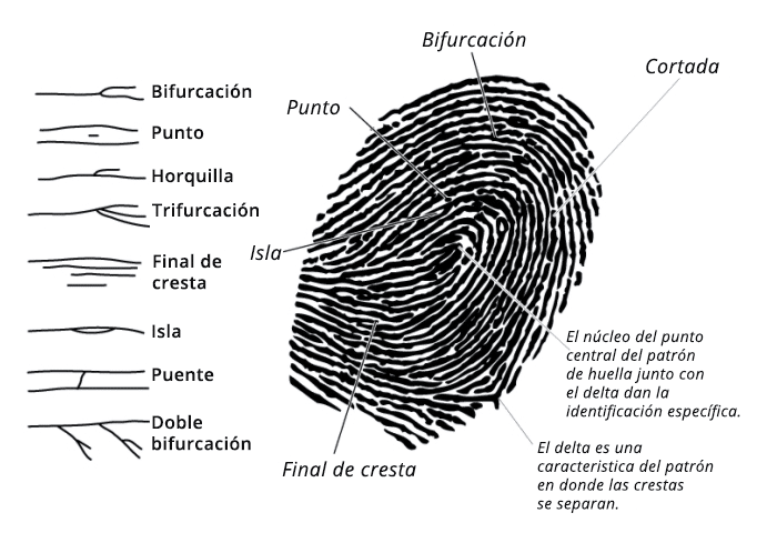 huella