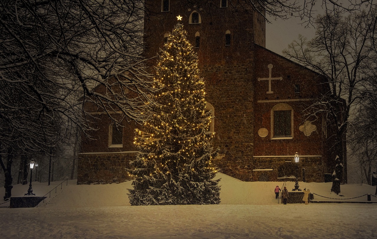 arbol